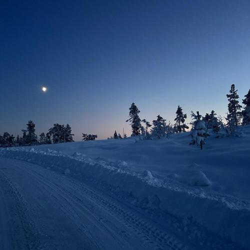 Fjellspurven — Unknown City — photo 4