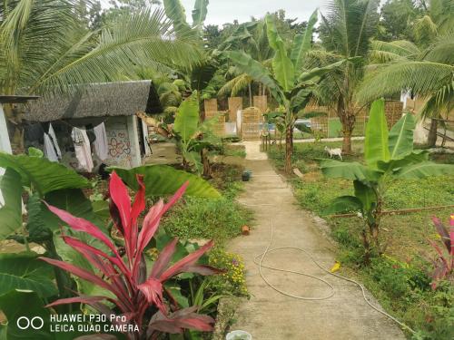 Jungle in San Francisco, Philippines