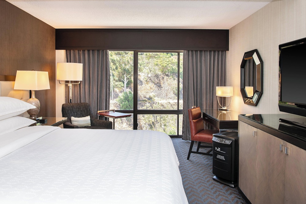 Sheraton Mission Valley San Diego Hotel - photo 36