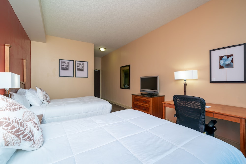 City Express by Marriott Washington DC Northeast - photo 6