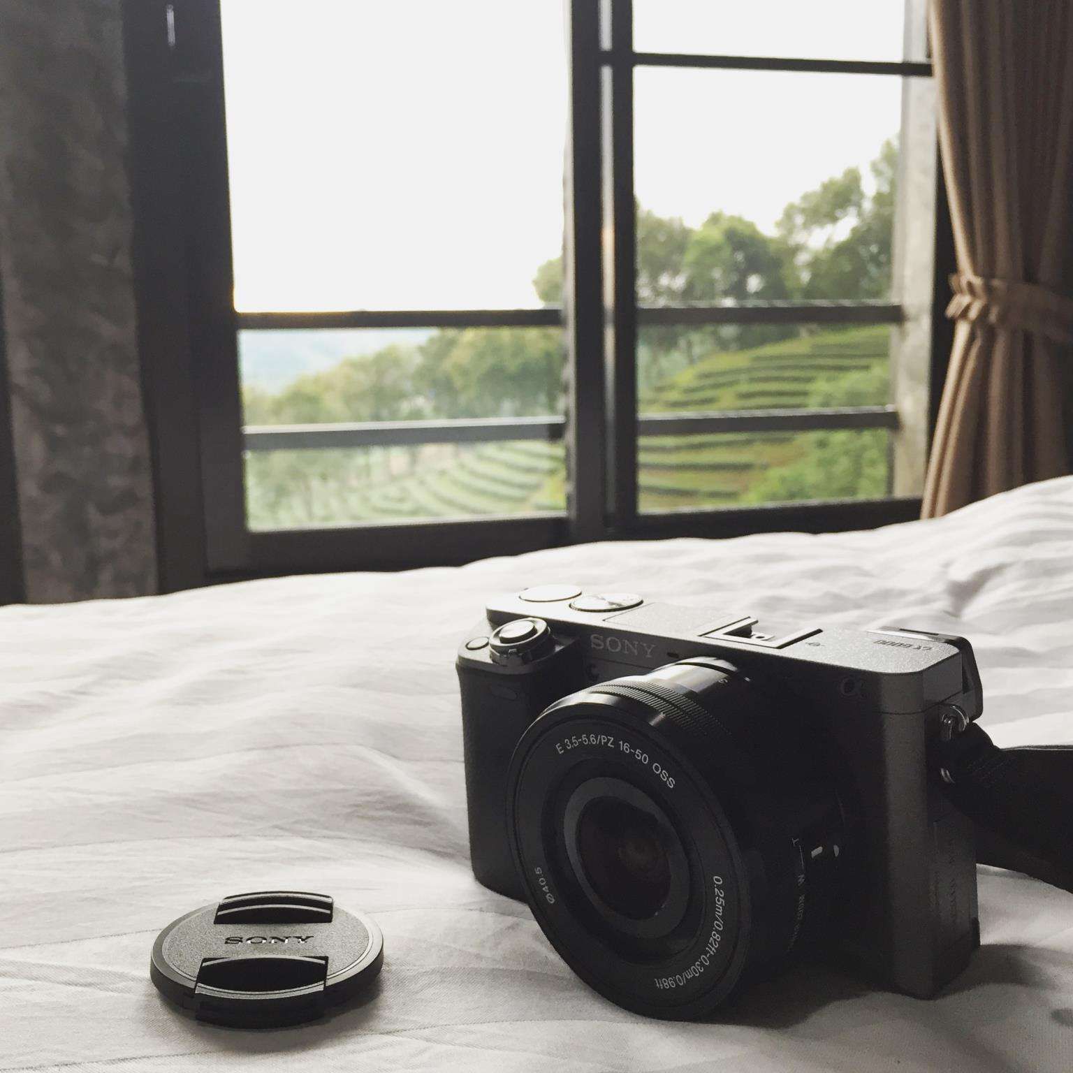 101 Tea Green View — Mae Fa Luang