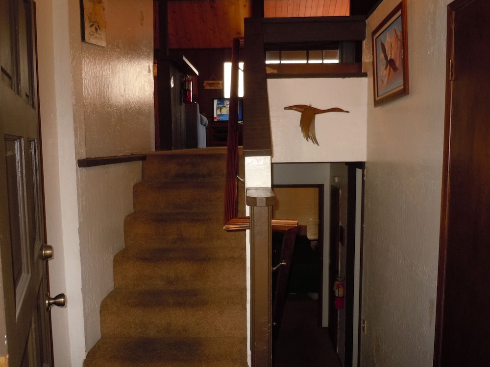 Escape For All Seasons - photo 262