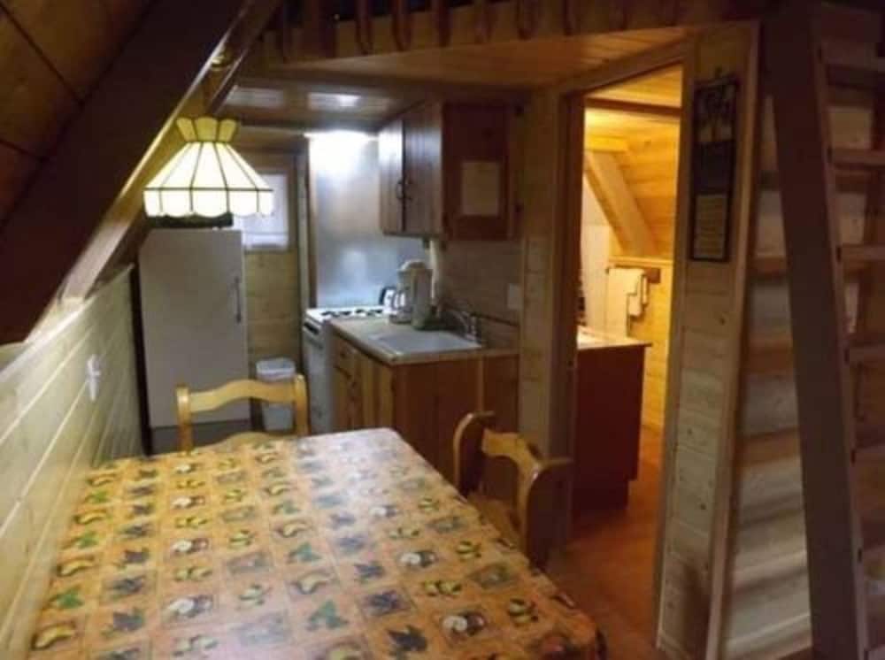 Arizona Mountain Inn and Cabins - photo 111