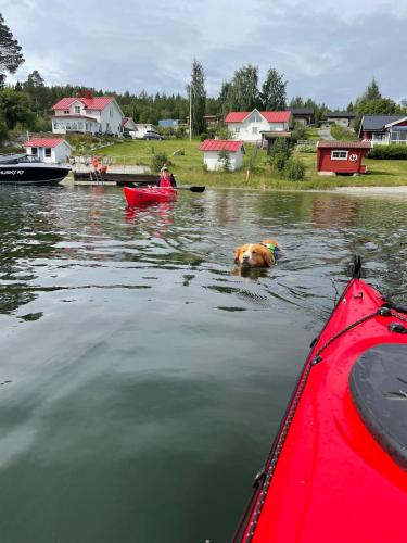Coastal Gem with Beach Wooden Sauna & Canoes pet-friendly hotel Bjaesta