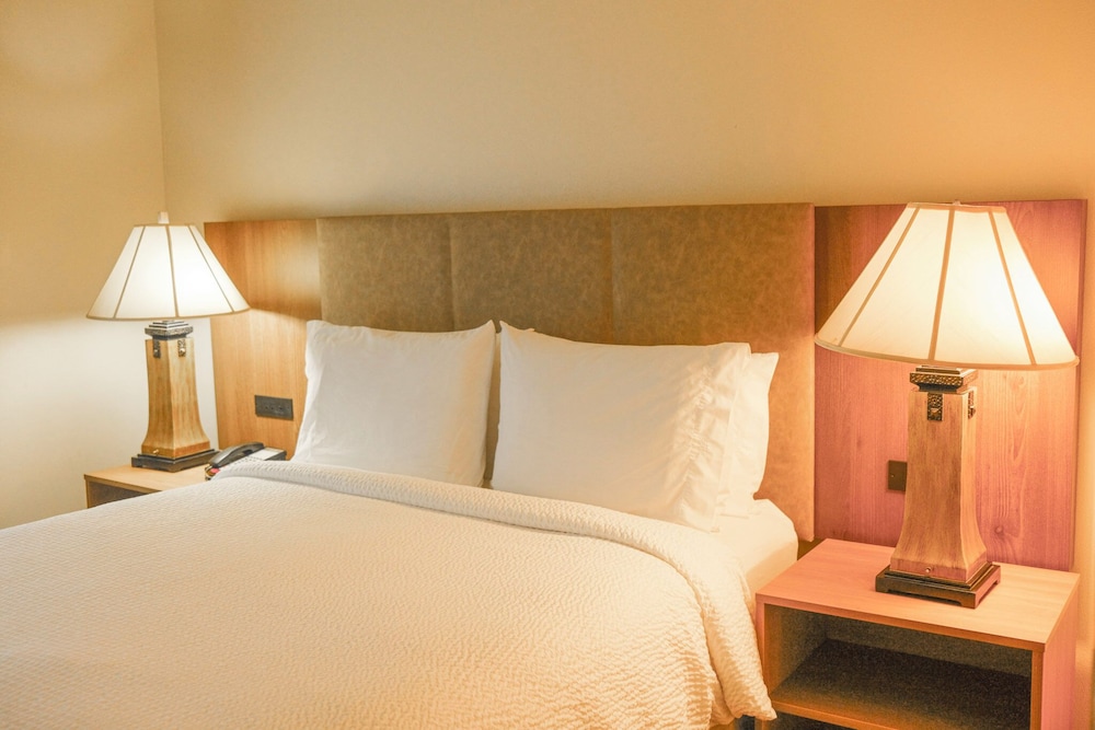 Staybridge Suites Austin Airport by IHG - photo 13