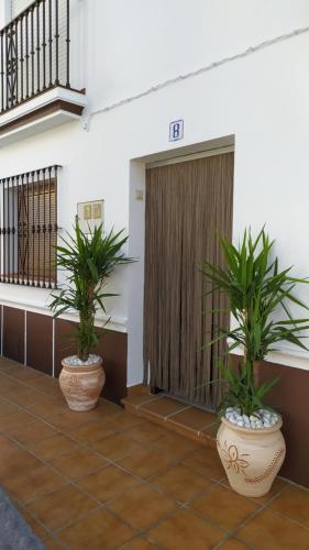 Sabor Andaluz in Almunecar, Spain