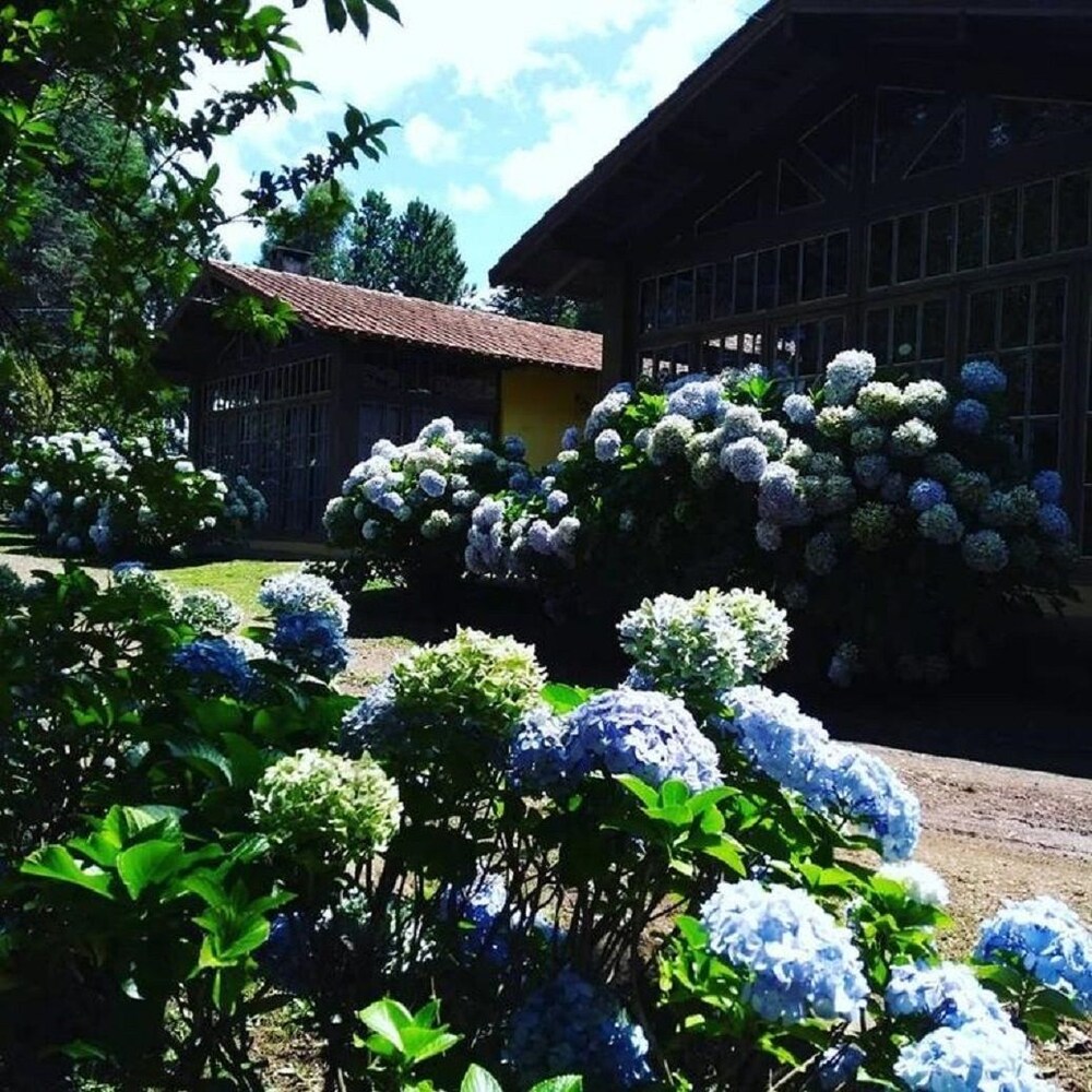 Pousada Caminhos Da Neve in Sao Joaquim, Brasil