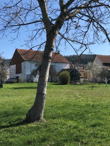 Domaine La Bonne Dame Merle Au Coeur Des Vosges — Plainfaing