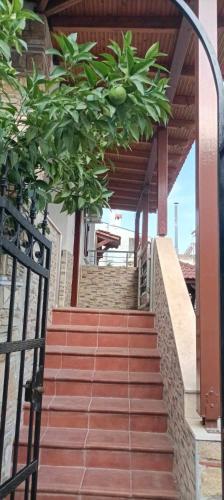 4 Bedroom House Florinas — 4-Star Luxury Hotel in Pefkochori, Greece