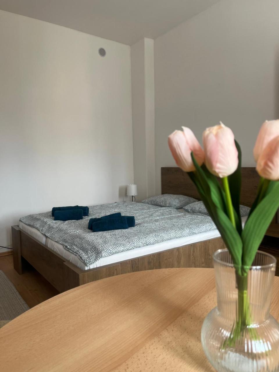 Apartman Vajb in Jicin, Czech Republic