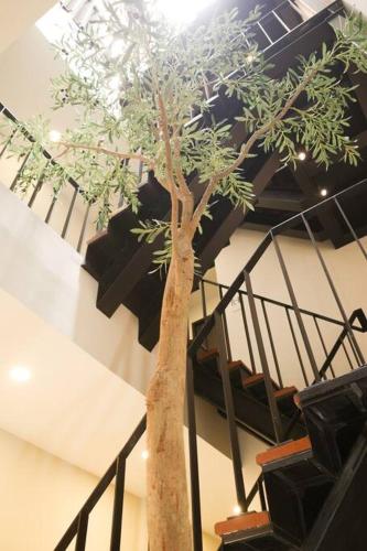 Potji's private apartment