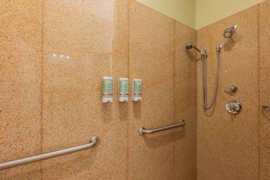 Best Western White House Inn - photo 57