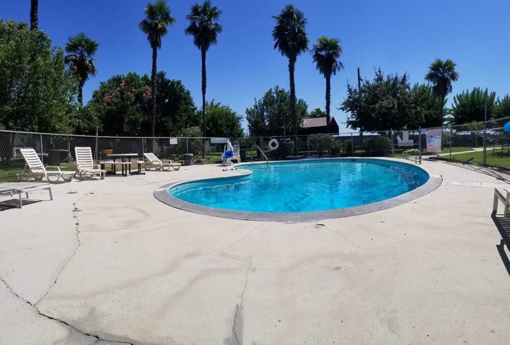 99 Palms Inn & Suites - photo 21