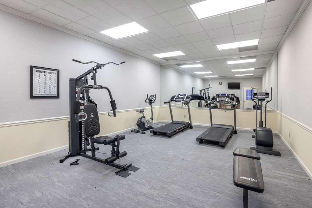 Best Western Spring Hill Inn & Suites - photo 9