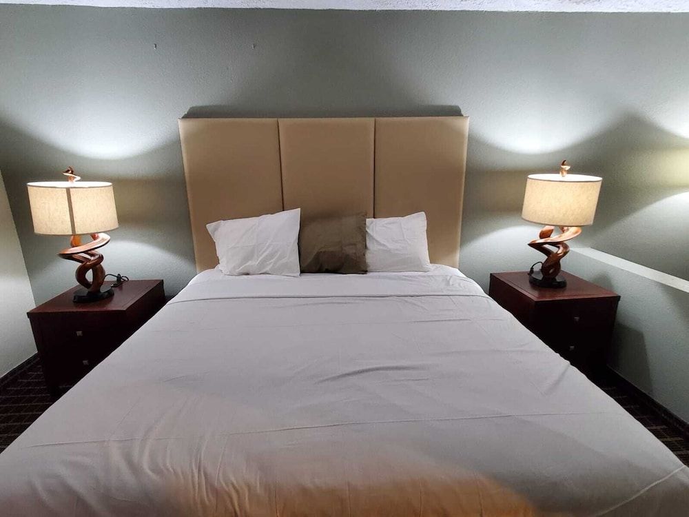 Palmetto Inn & Suites - photo 18