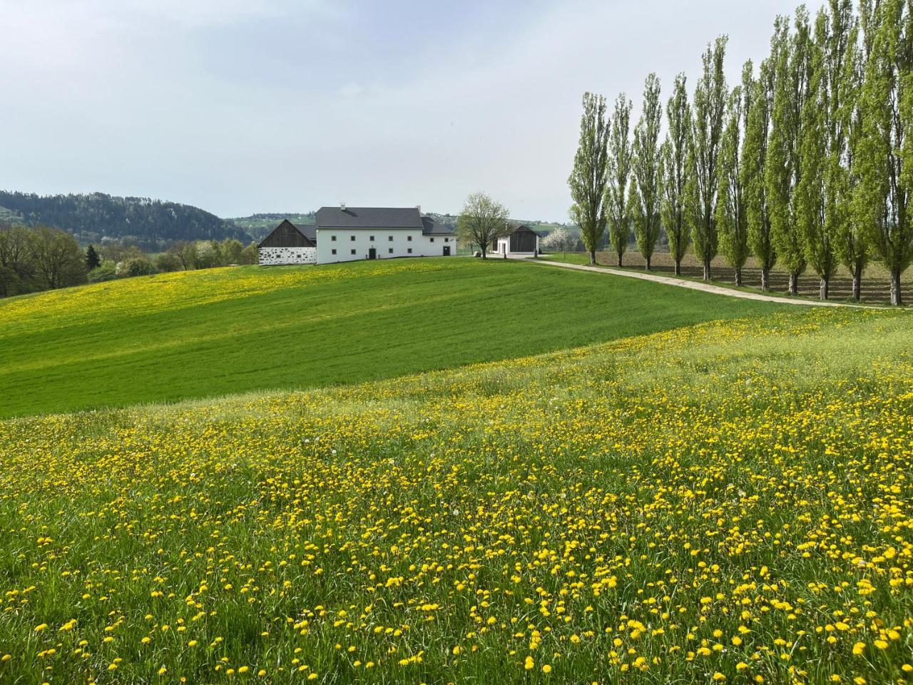 Obstgartl Ferienhaus Muhlviertler Hugelland — Pregarten