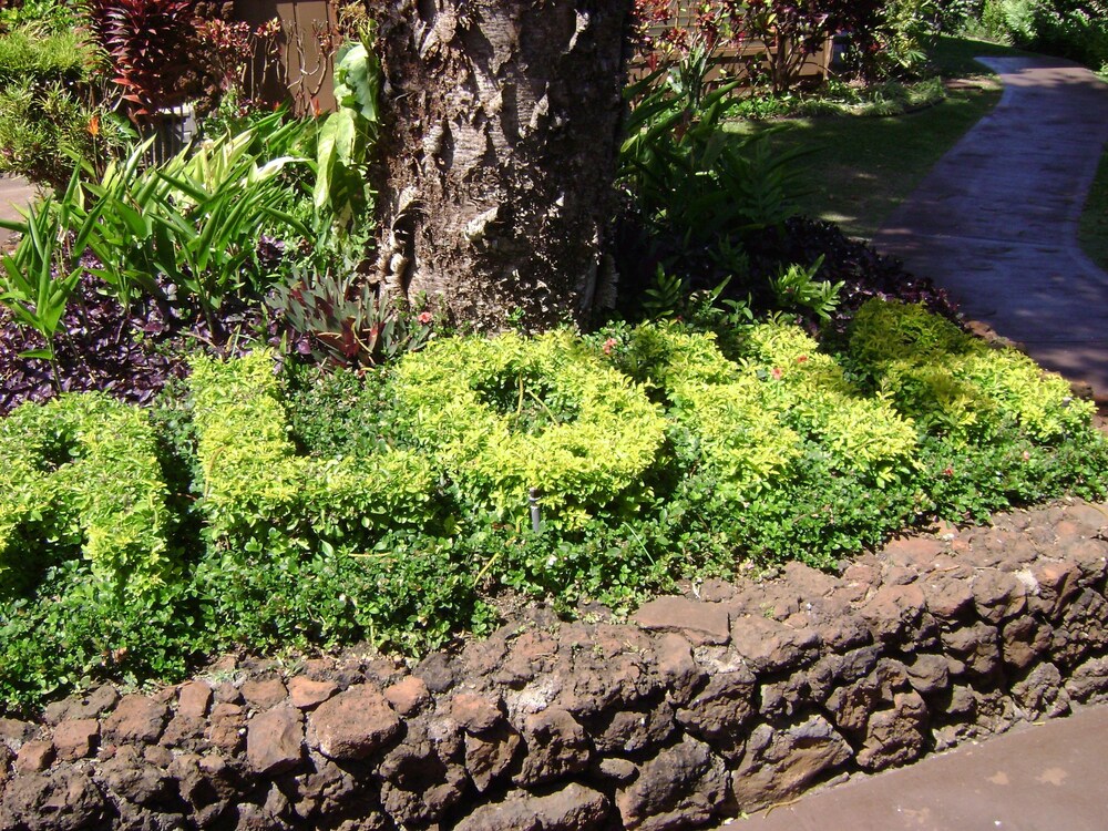 Polynesian Shores - photo 133
