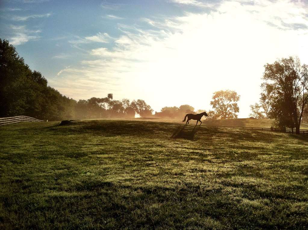 Salamander Resort And Spa - photo 5