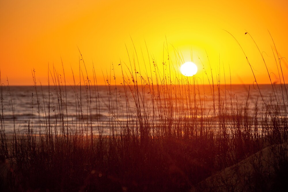 552 Ocean Course at Sea Pines Resort - photo 24