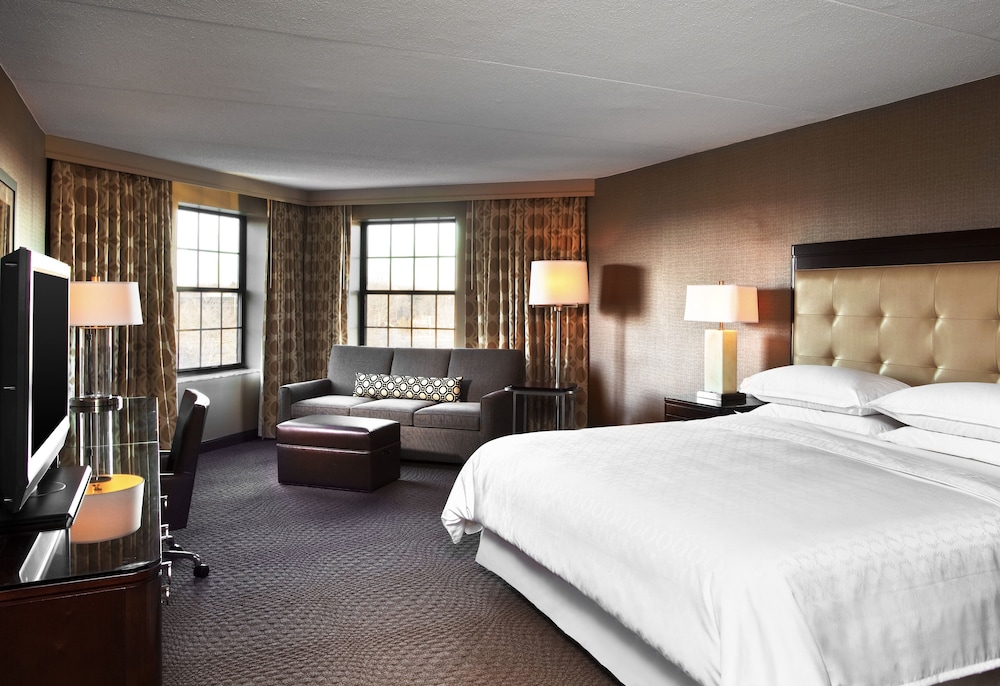 Sheraton Parsippany Hotel - photo 5