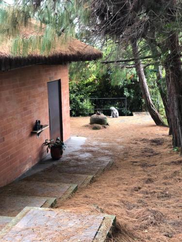 Cabaña Campestre La Rayuela Fuquene — hotel in Fuquene