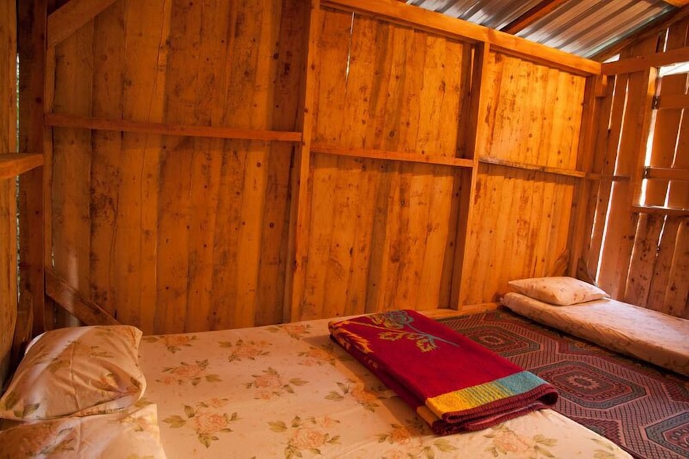 Bayrams Tree Houses — Kumluca — photo 4