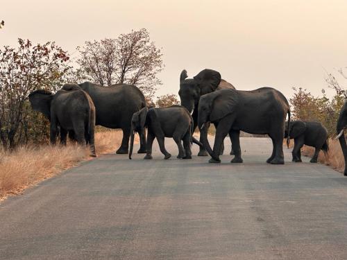 SuLo Guesthome in Phalaborwa, South Africa