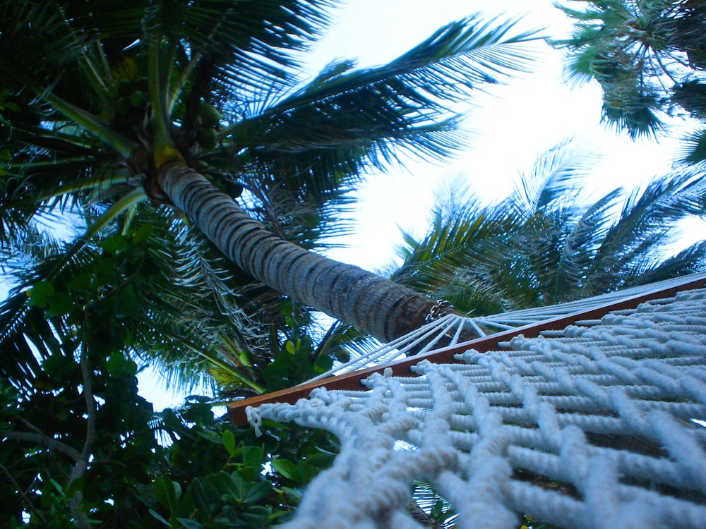 Holiday Inn Miami Beach Oceanfront by IHG - photo 69
