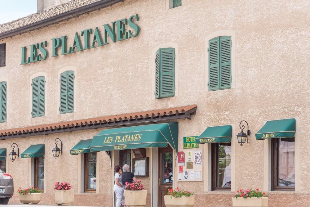 Logis Ho Tel Les Platanes — hotel in Pont-De-Vaux