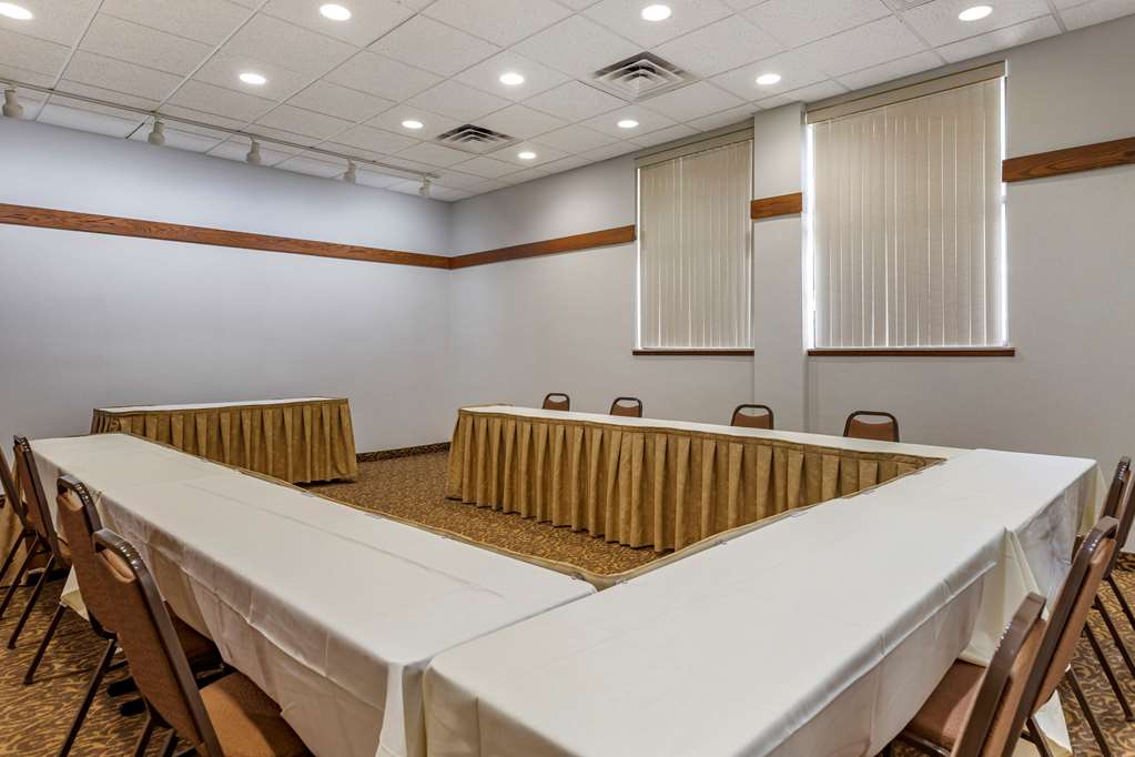 Comfort Inn Okemos East Lansing - photo 32