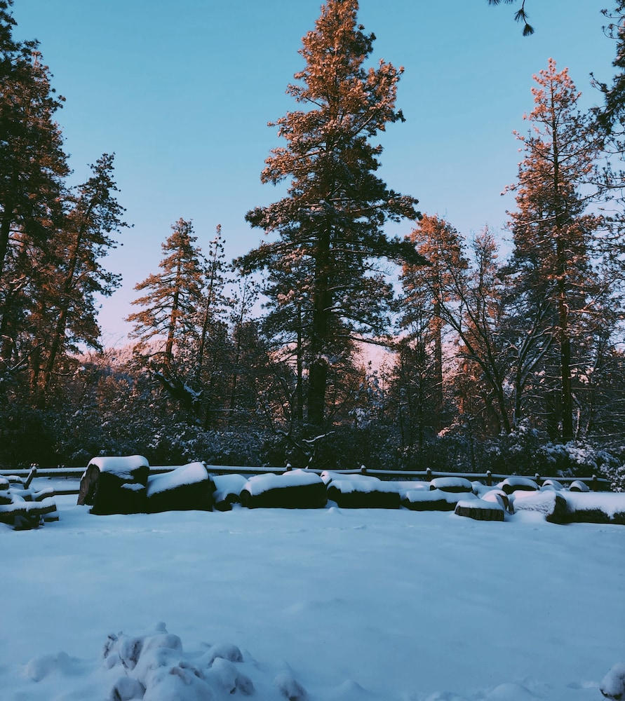 Idyllwild Inn - photo 251