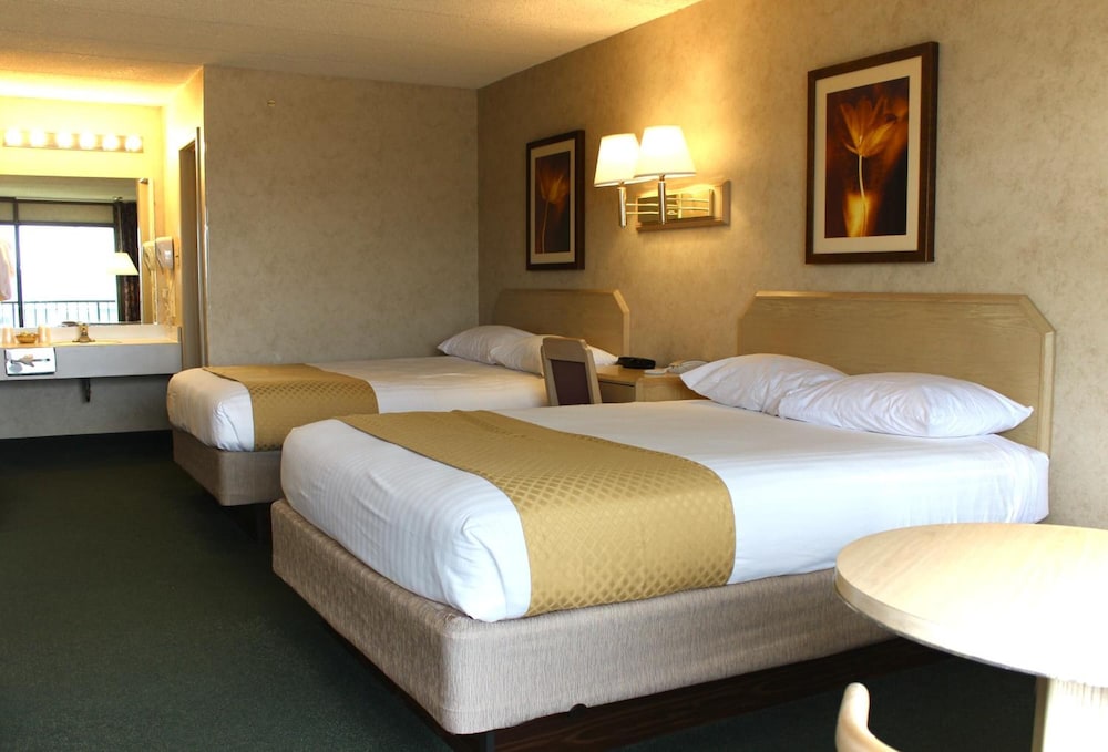 Impala Island Inn - photo 16