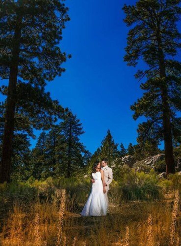 Gold Mountain Manor - photo 94