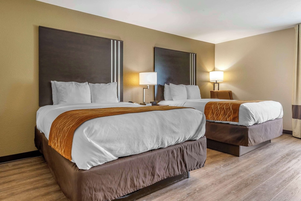 Comfort Inn Marion near Downtown & Blue Ridge PKWY - photo 13