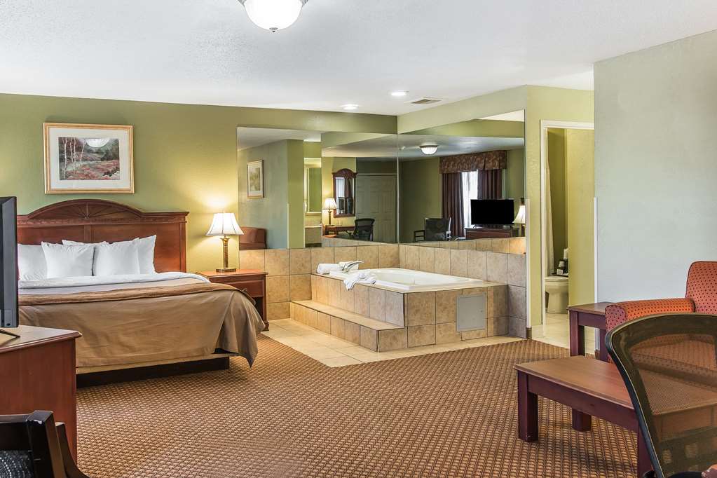 Quality Inn & Suites Ann Arbor Hwy 23 - photo 25