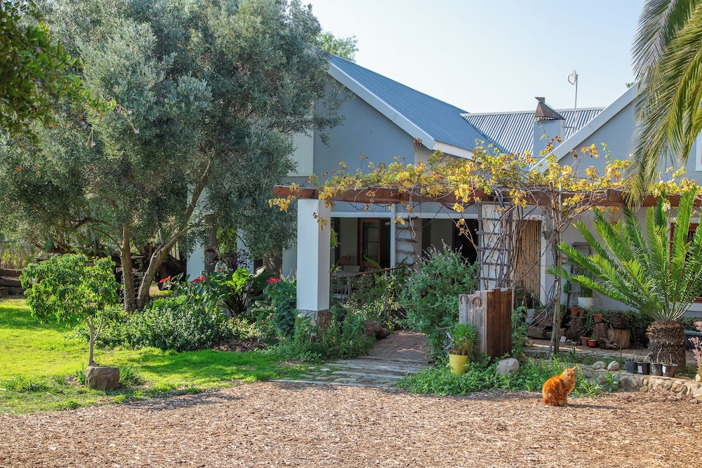 06 On Burger in De Rust, South Africa