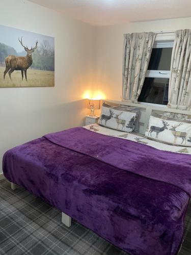 Lamlash Lets - carbon neutral hotel in Lamlash