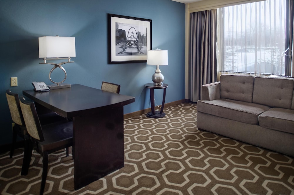 Hampton Inn by Hilton St. Louis Airport - photo 50