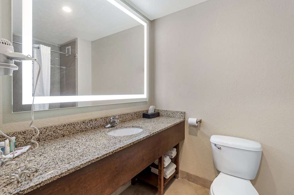 Comfort Suites Merrillville near US 30 - photo 8