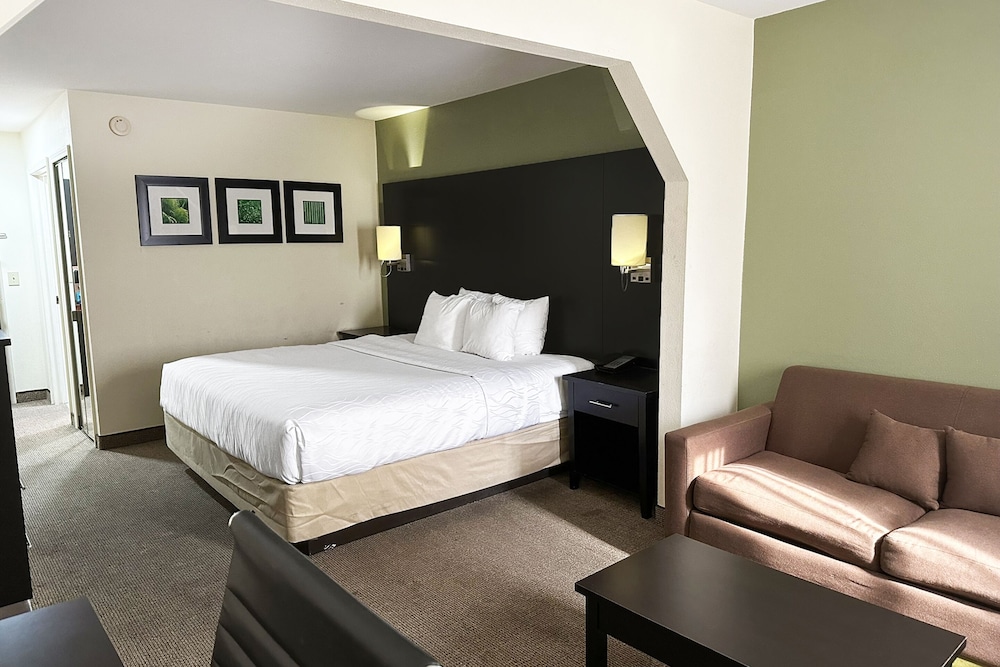Oyo Hotel Rome West Ga - photo 28