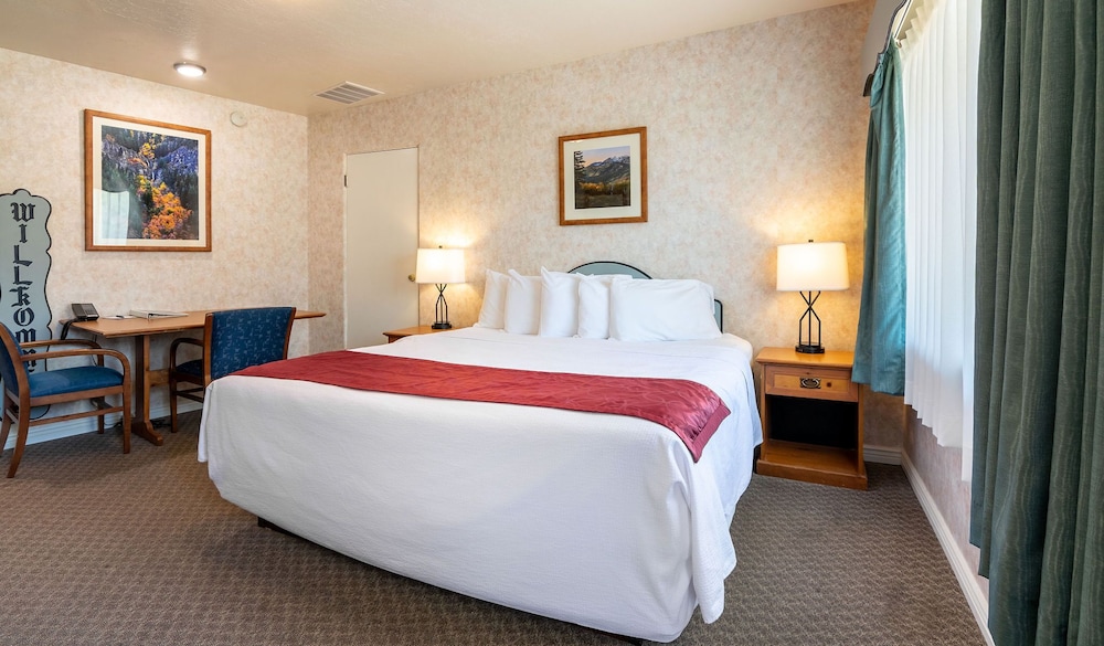 Swiss Alps Inn - photo 19