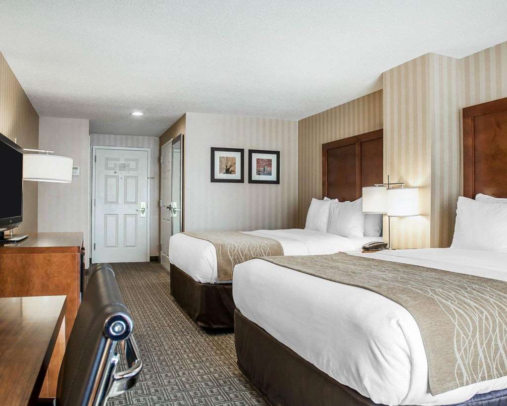 Comfort Inn & Suites Sturbridge Brimfield - photo 8