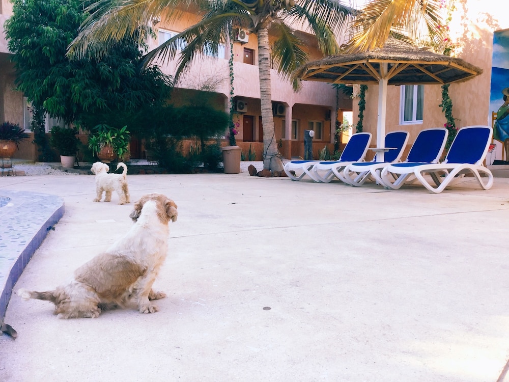 Annexe Du Lac Rose in Dakar, Senegal