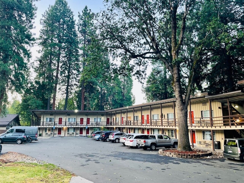 Shasta Inn - photo 20