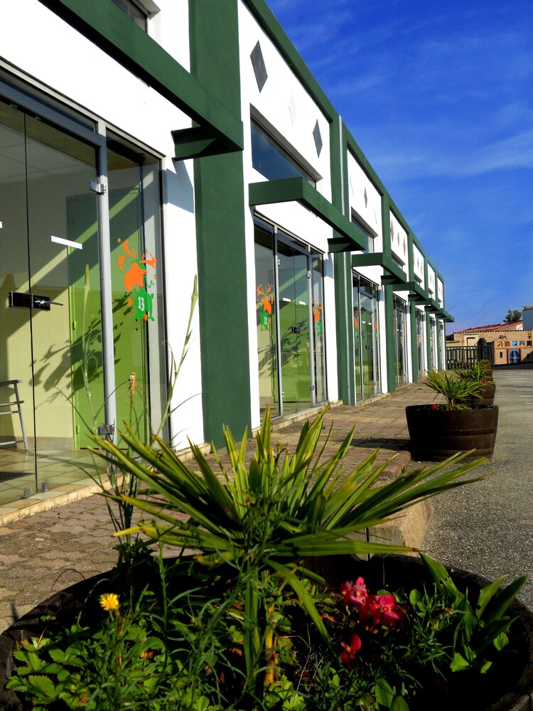 In Jungle hôtel pet-friendly hotel Beauvallon