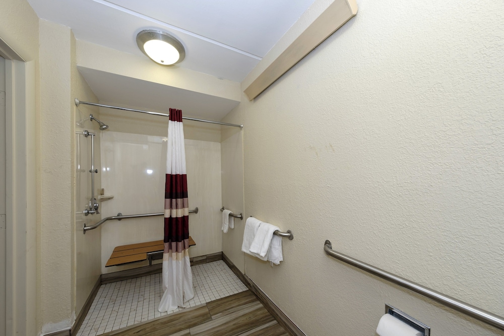 Red Roof Inn Tampa Brandon - photo 32