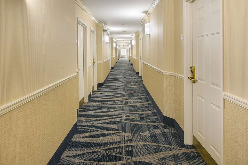 Quality Inn Alexander City - photo 7