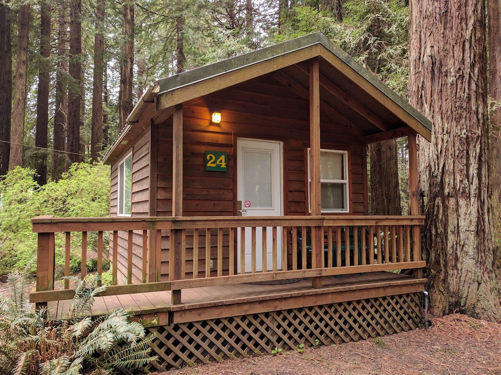 Emerald Forest Cabins - photo 6
