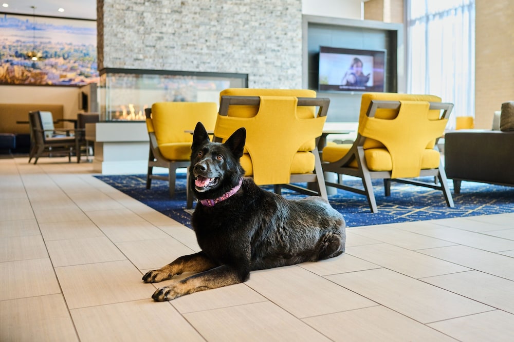Residence Inn by Marriott Berkeley - photo 35