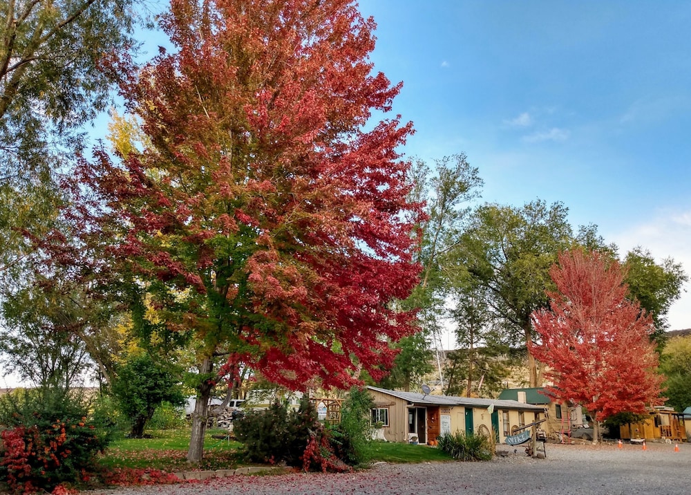 Billingsley Creek - photo 81